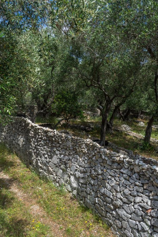 Villa Elaia Suites & Apartments No.1 Γάιος Εξωτερικό φωτογραφία